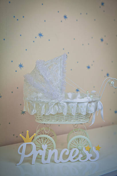 Stainless Steel  Fashion Baby Cradle 